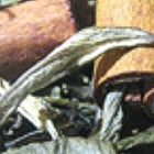 {"class" => "gallery-viewer__thumb-img"}