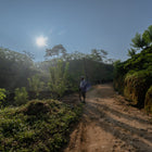 {"class" => "gallery-viewer__thumb-img"}