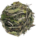 {"class" => "gallery-viewer__thumb-img"}