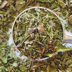 Peppermint and spearmint leaves in teaspoon on a white background