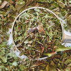 {"class" => "gallery-viewer__thumb-img"}