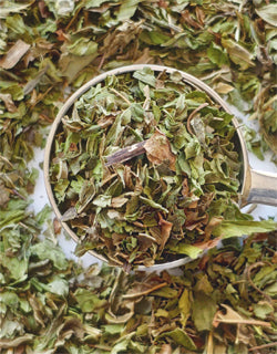 Peppermint and spearmint leaves in teaspoon on a white background